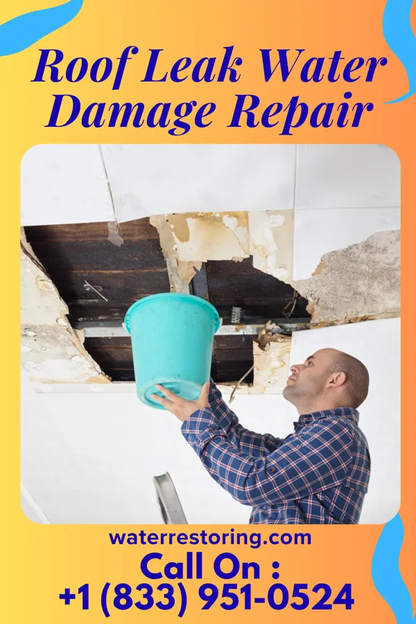 Roof Leak Water Damage Repair in Liberty Lake, WA